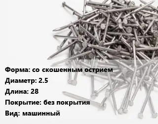 Гвоздь со скошенным острием 2.5х28 без покрытия машинный